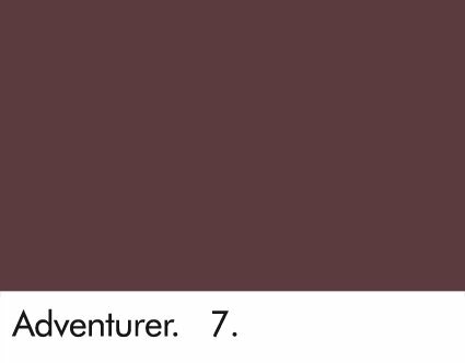 Little Greene Adventurer 7