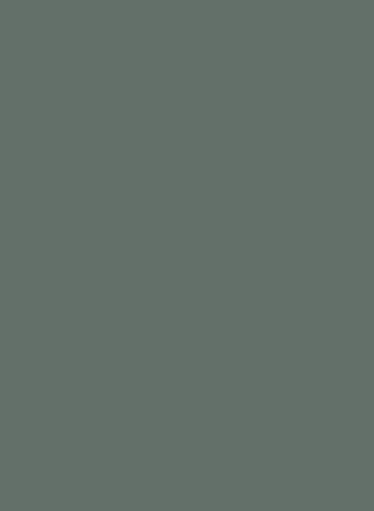 Farrow & Ball Douter No. 318
