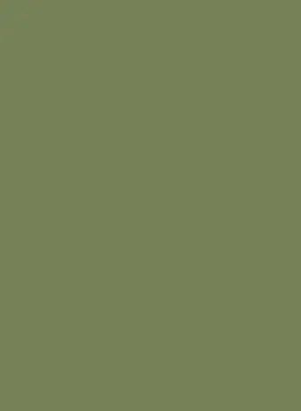 Farrow & Ball Sap Green No. 199