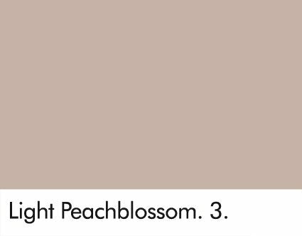 Little Greene Light Peachblossom 3
