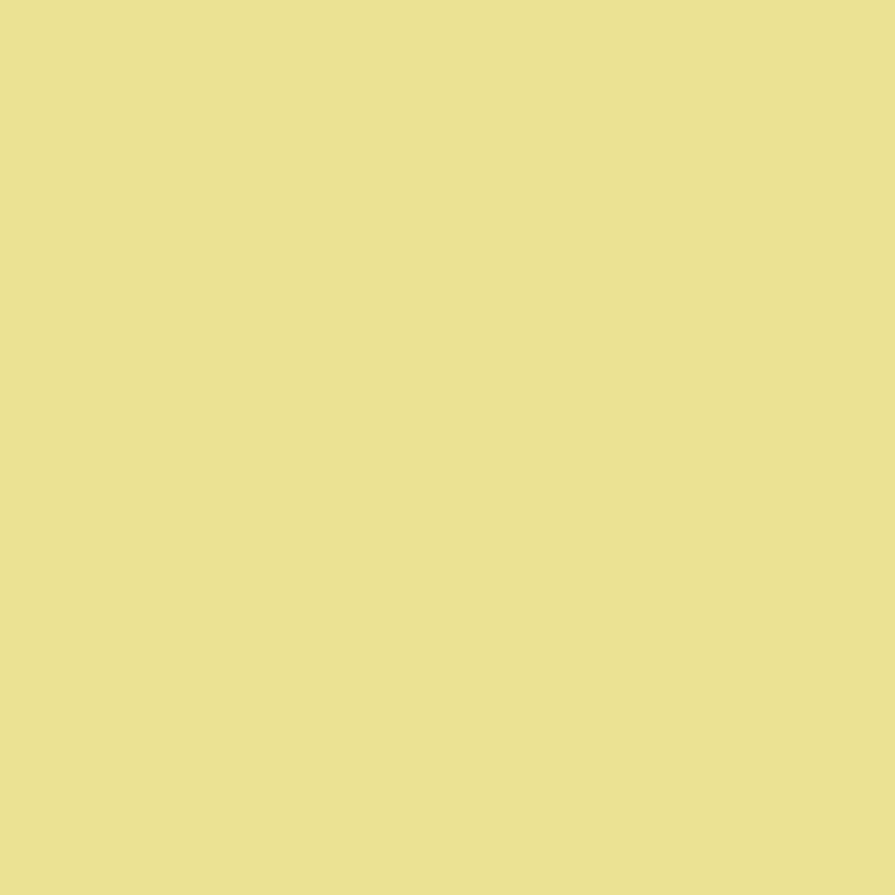 Farrow & Ball Butterweed No. 9802