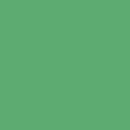 Caparol Icons No. 80 Youthquake