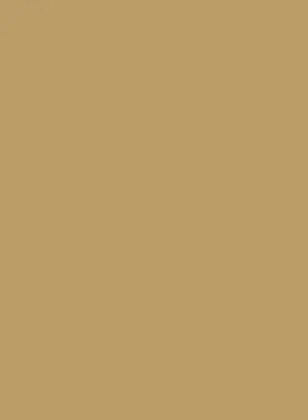 Farrow & Ball Duster No. 319
