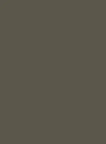 Farrow & Ball Reduced Green No. 313