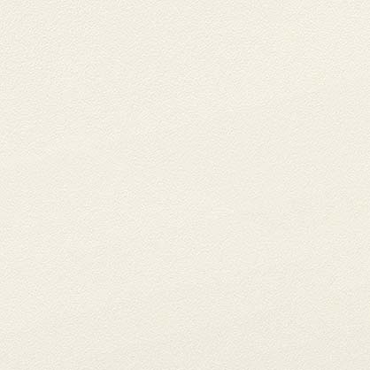 Caparol Icons No. 131 White Cube
