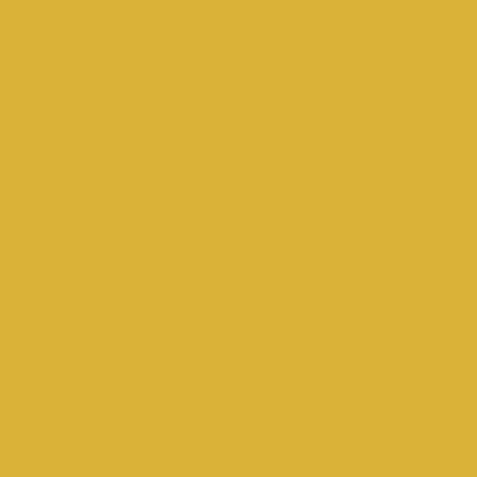 Caparol Icons No. T01 Fogo