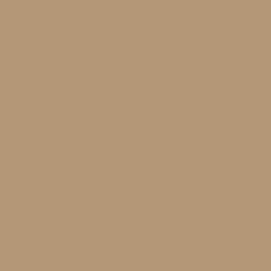 Caparol Icons No. T06 Paper Bag