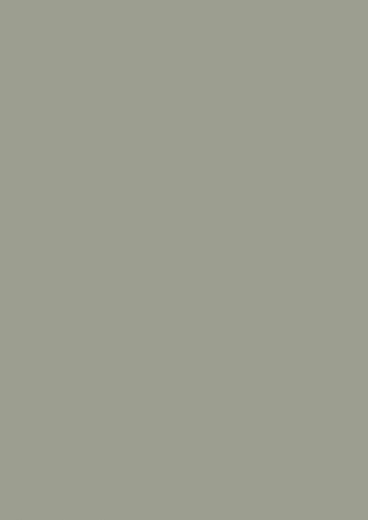 Farrow & Ball Pigeon No. 25