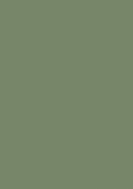 Farrow & Ball Calke Green No. 34