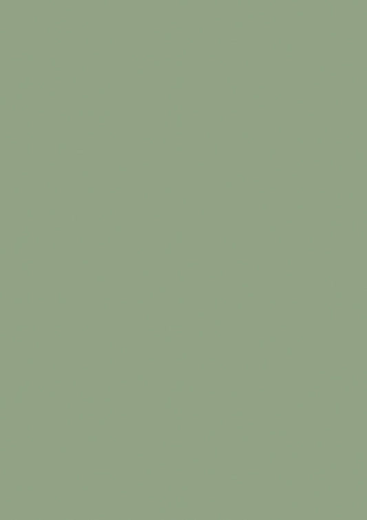 Farrow & Ball Breakfast Room Green No. 81