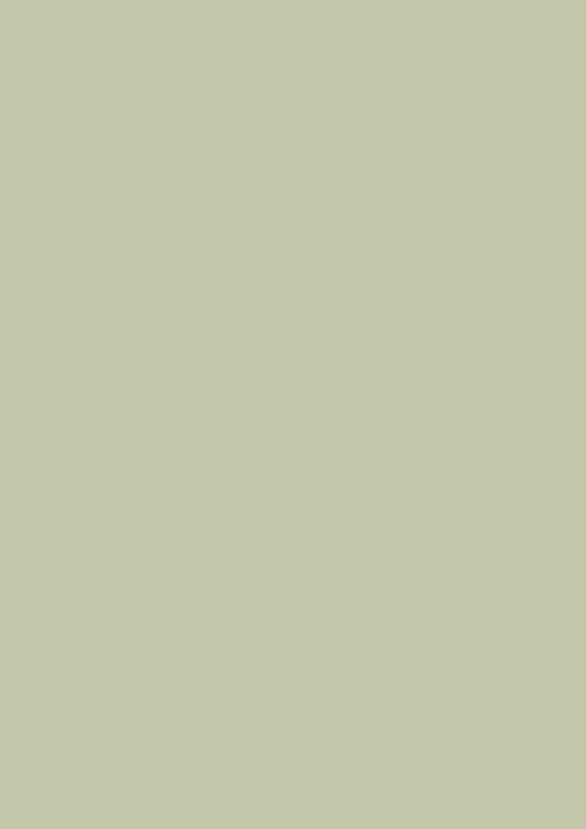 Farrow & Ball Vert de Terre No. 234