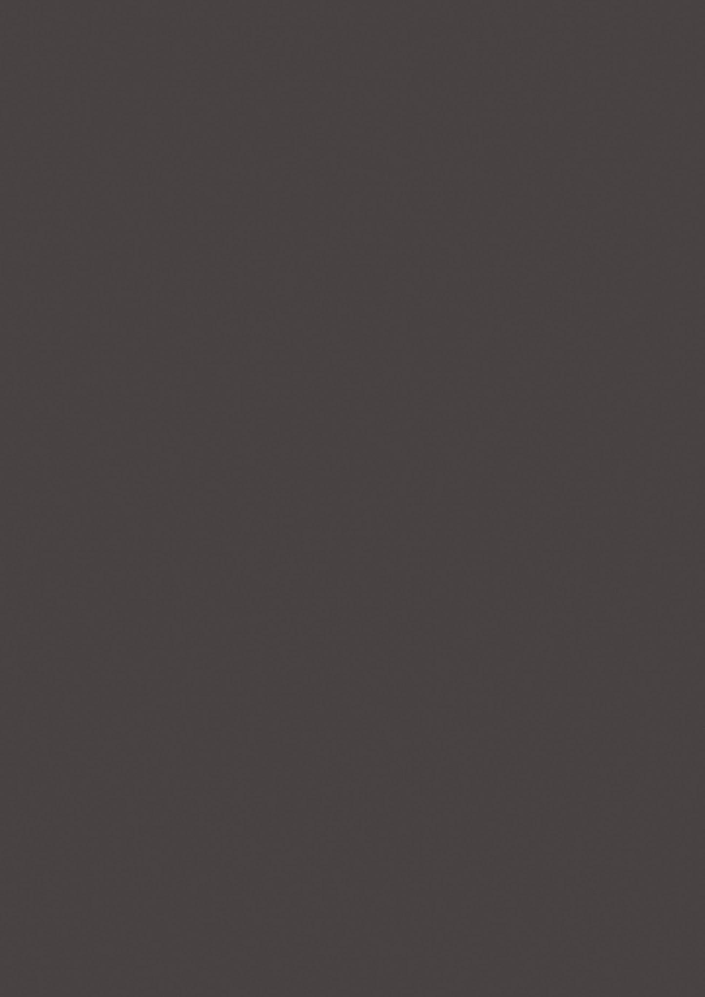 Farrow & Ball Tanner`s Brown No. 255