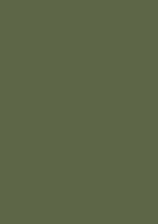 Farrow & Ball Bancha No. 298