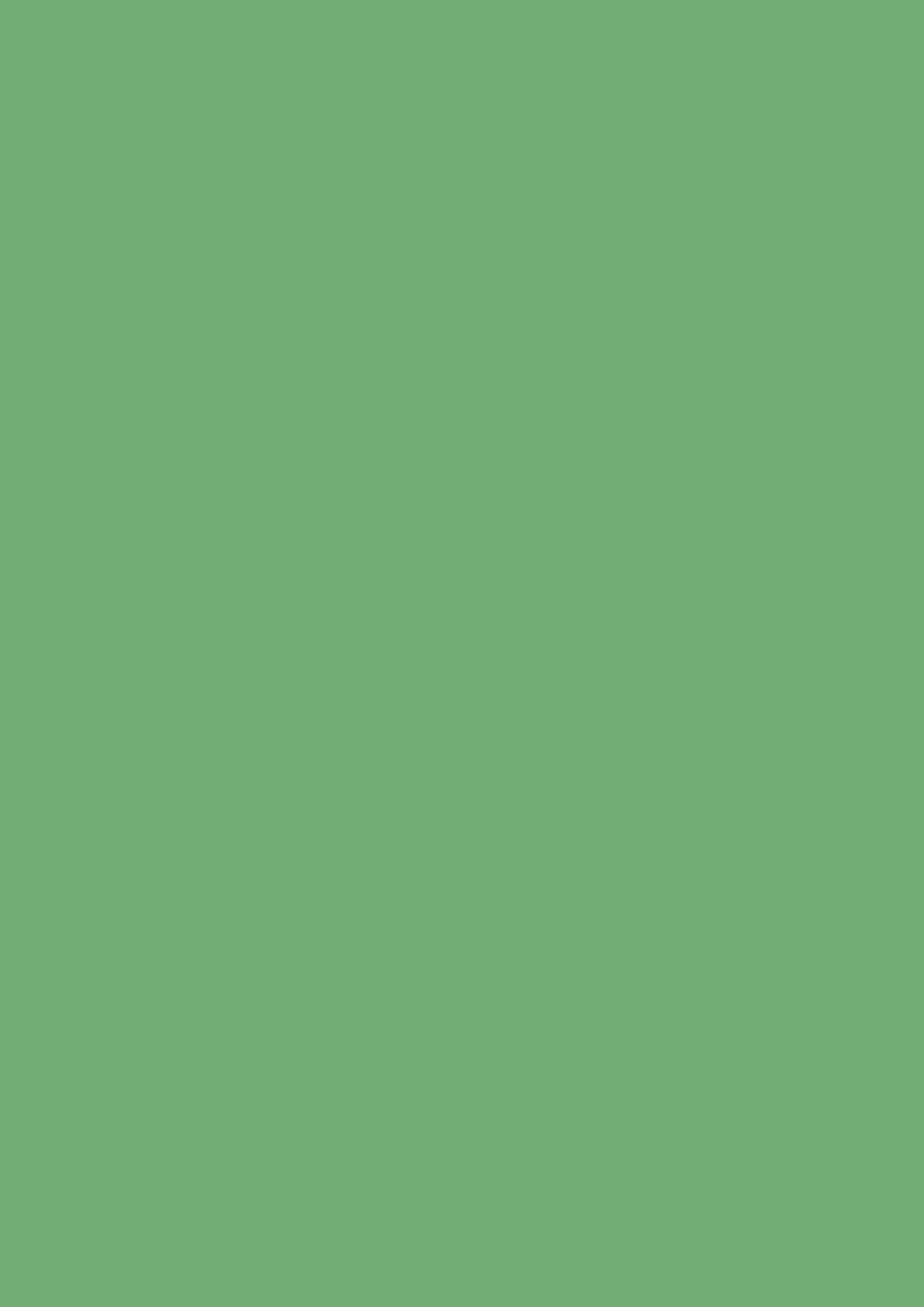 Farrow & Ball Emerald Green No. W53