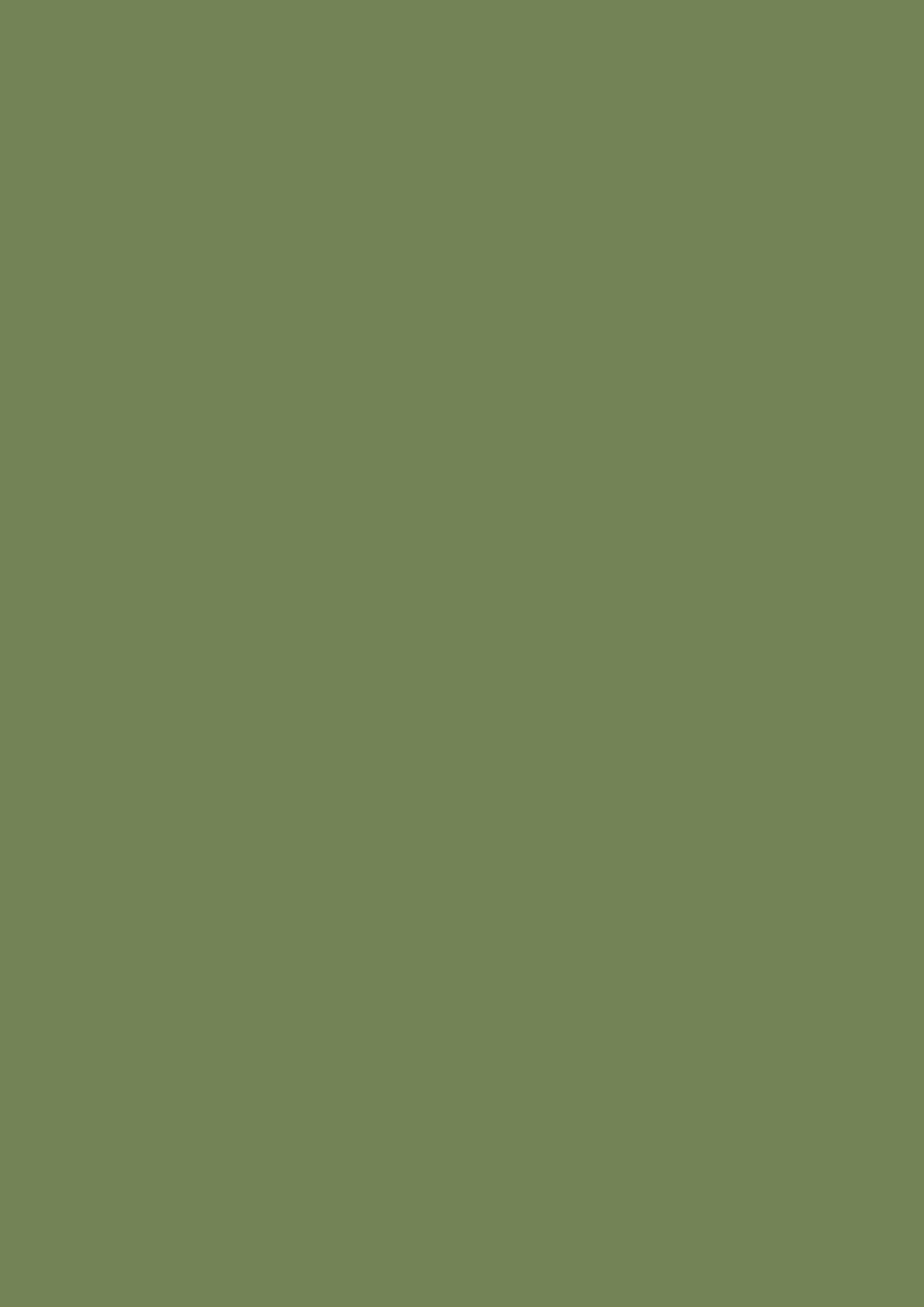 Farrow & Ball Sap Green No. W56