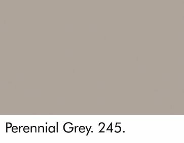 Little Greene Perennial Grey 245