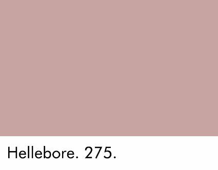 Little Greene Hellebore 275