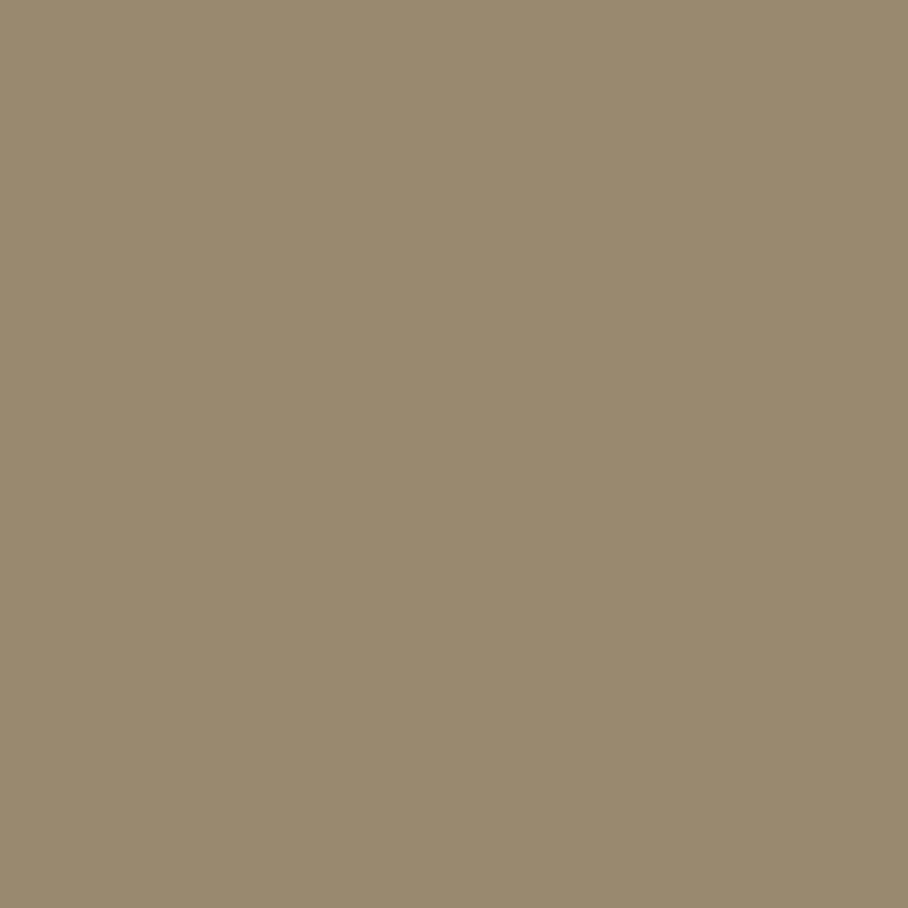 Farrow & Ball Drab No. 41