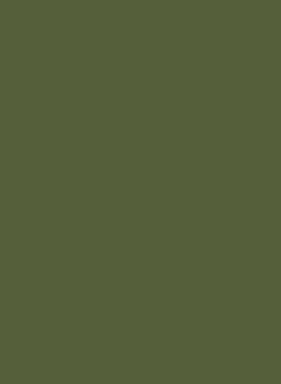 Little Greene Jewel Beetle 303